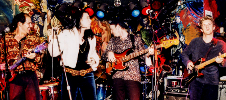 Singer, Guitarist, Songwriter, Performer